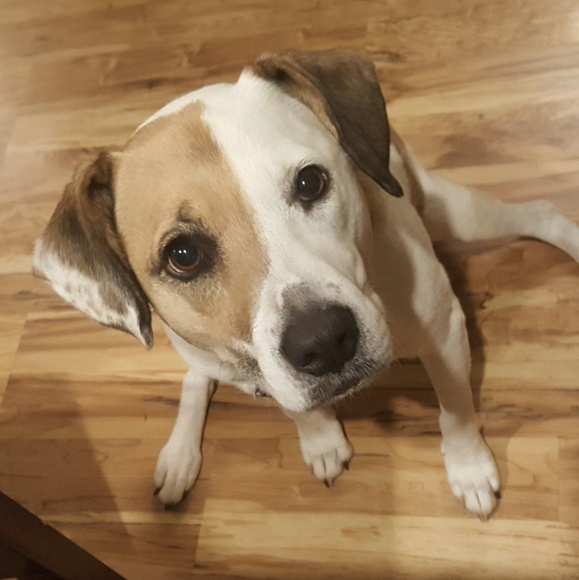 Meet your Posher, Pavinee - Picture 1 of 1